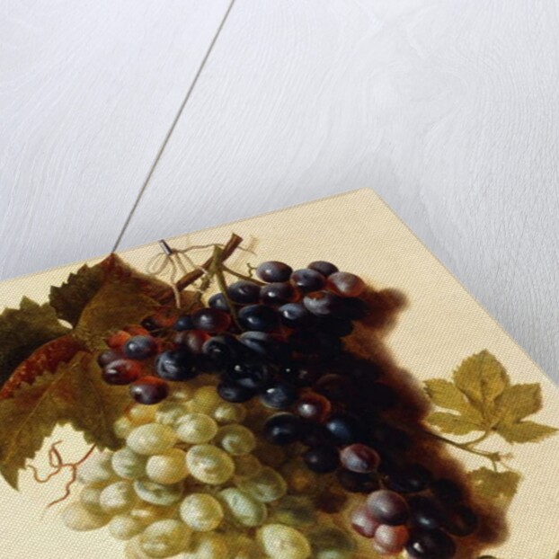 Bunches of Green and Red Grapes suspended from a Rope, c.1796 by Joseph-Laurent Malaine