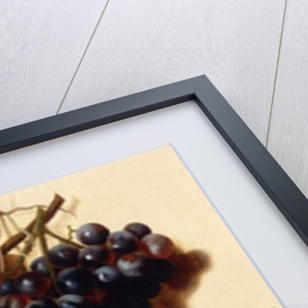 Bunches of Green and Red Grapes suspended from a Rope, c.1796 by Joseph-Laurent Malaine