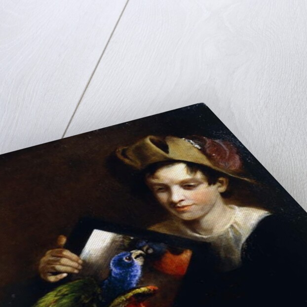 A Boy with a Parrot by Martin Ferdinand Quadal