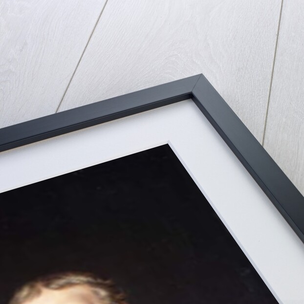 Portrait of Count Francais de Nantes by Jacques Louis David