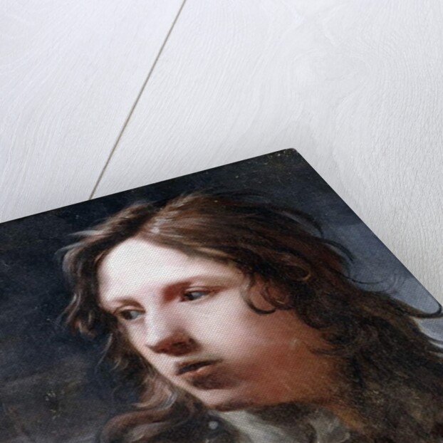 A Young Man by Michael Sweerts