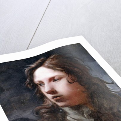 A Young Man by Michael Sweerts