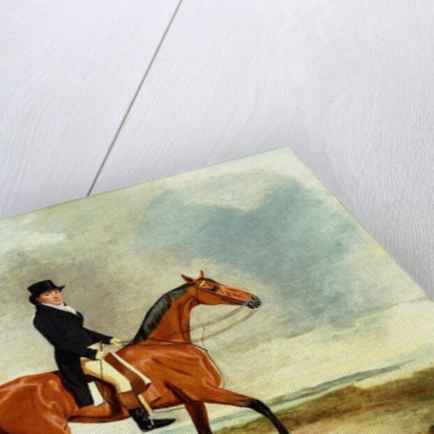 Francis Const on his Bay hunter Riding near the Sea, 1806 by Benjamin Marshall