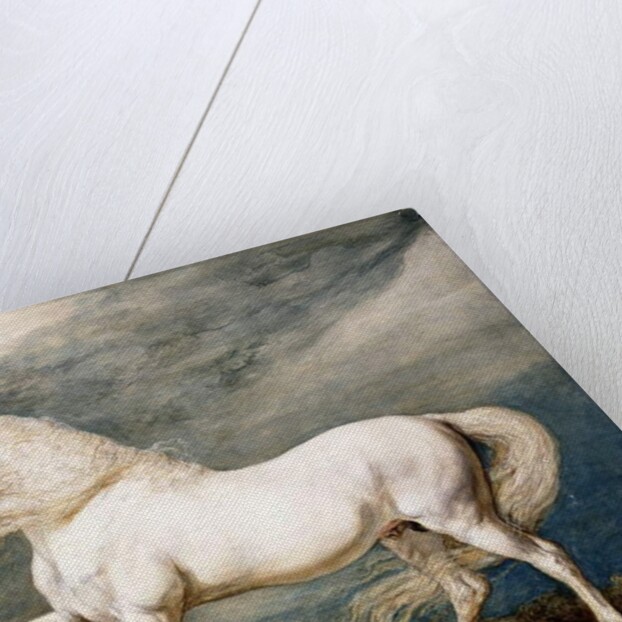 Adonis, King George III's Favourite Charger by James Ward