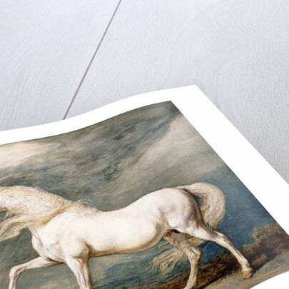 Adonis, King George III's Favourite Charger by James Ward