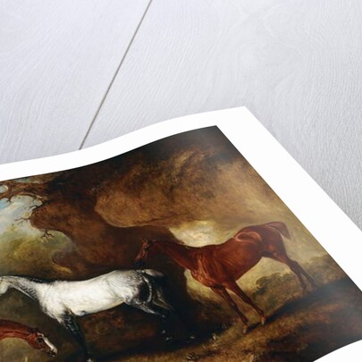 Three Hunters belonging to Robert Myddelton-Biddulph by John E. Ferneley