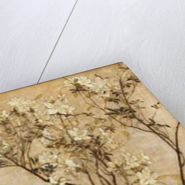 Still Life with Azaleas in a Chinese Pot, 1878 by Charles Caryl Coleman