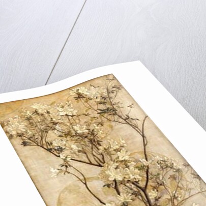 Still Life with Azaleas in a Chinese Pot, 1878 by Charles Caryl Coleman