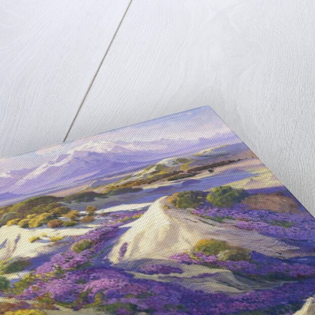 Verbena Clad Dunes by Fred Grayson Sayre