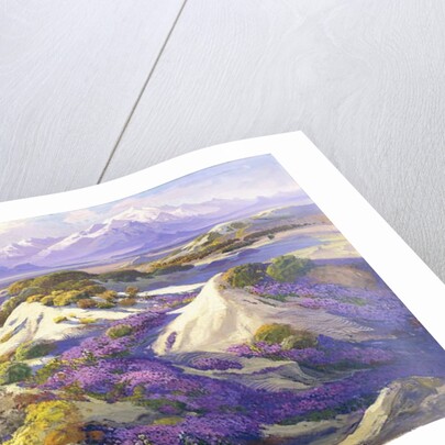 Verbena Clad Dunes by Fred Grayson Sayre