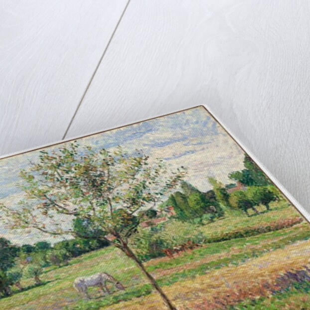 Meadow with Grey Horse, Eragny, 1893 by Camille Pissarro