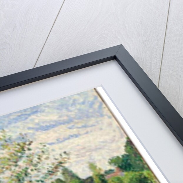 Meadow with Grey Horse, Eragny, 1893 by Camille Pissarro