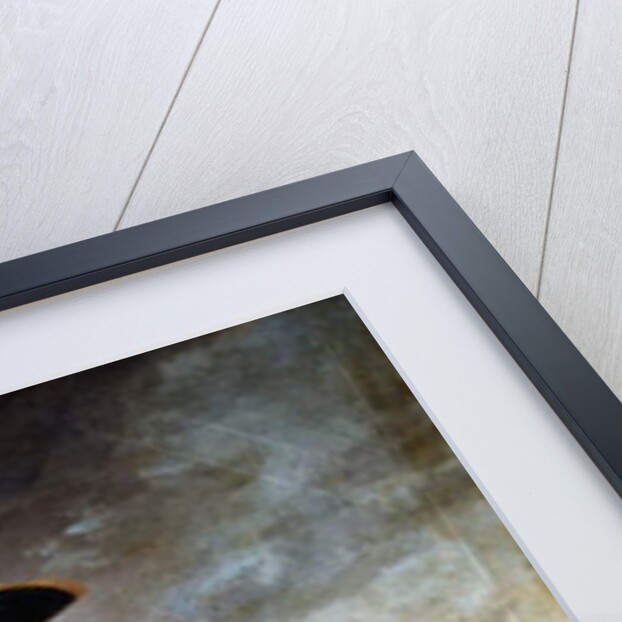 Portrait of Captain the Hon. Robert Boyle Walsingham, M.P. by Nathaniel Hone