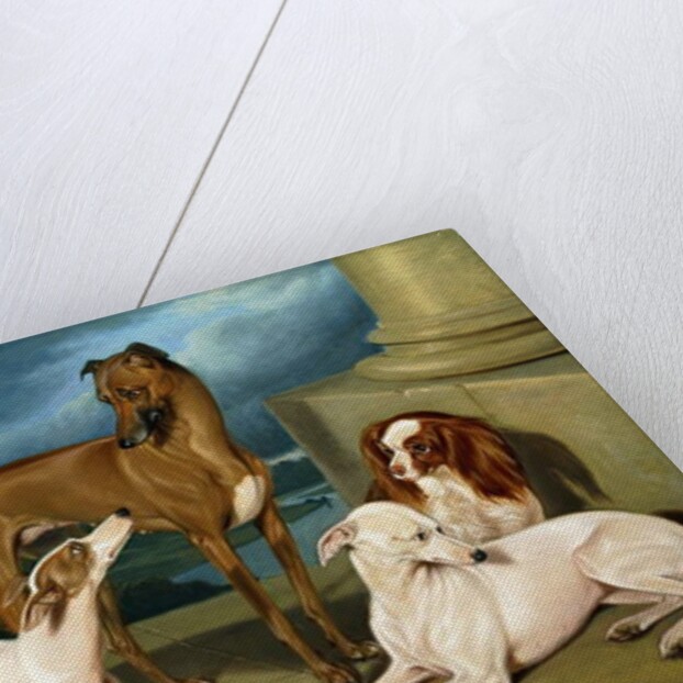 Whippets and a King Spaniel, 1837 by Edmund Jr Havell