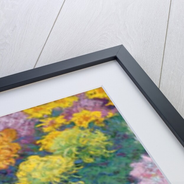 Chrysanthemums Massif, 1897 by Claude Monet