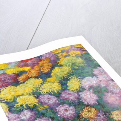 Chrysanthemums Massif, 1897 by Claude Monet