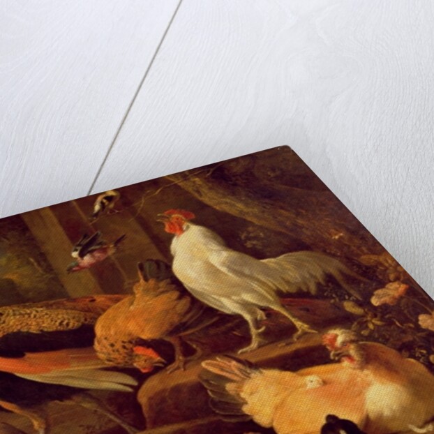 Poultry, c.1670 by Melchior de Hondecoeter