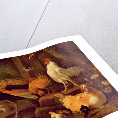 Poultry, c.1670 by Melchior de Hondecoeter