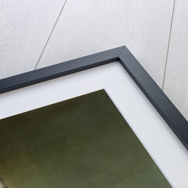 Wife of Canon Bowles by Thomas Hudson