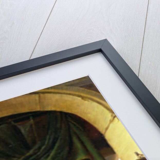 The Barber Surgeon by Heiman Dullaert