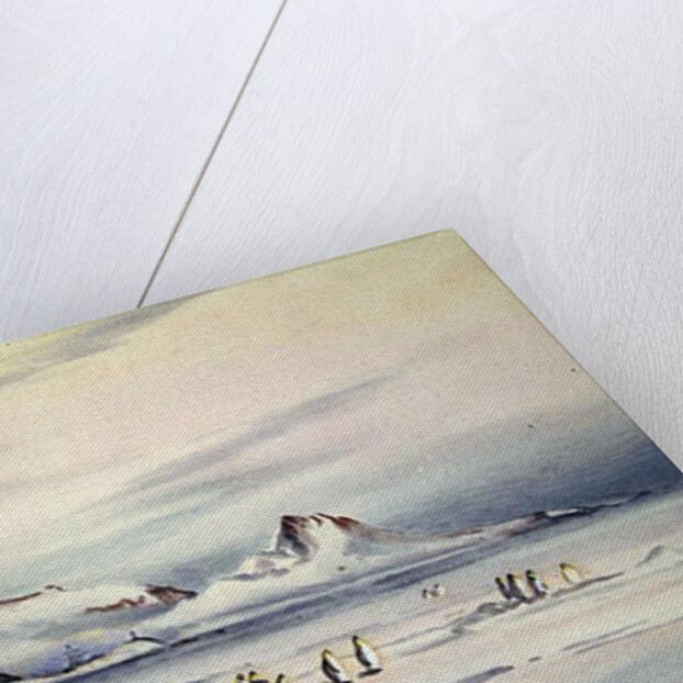 The Discovery Winter Quarters, c.1901-04 by Edward Adrian Wilson