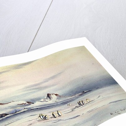 The Discovery Winter Quarters, c.1901-04 by Edward Adrian Wilson