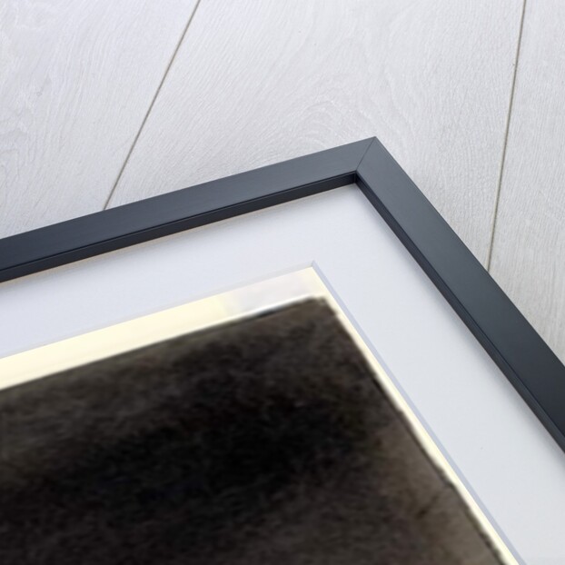 On the Way to the Meteorological Station by Edward Adrian Wilson