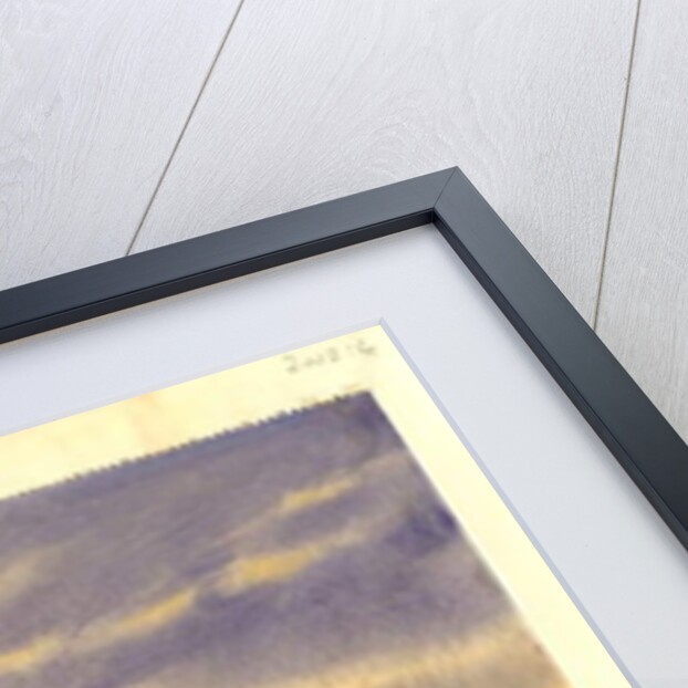 South Trinidad, 1901 by Edward Adrian Wilson