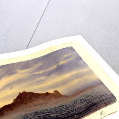 South Trinidad, 1901 by Edward Adrian Wilson