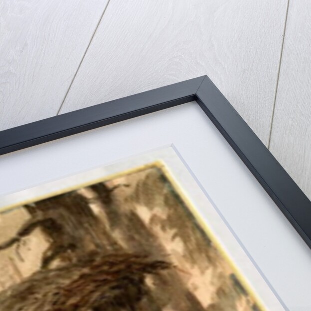 Goshawk's nest, 1898-99 by Edward Adrian Wilson