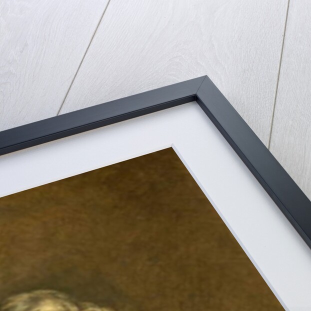 Thomas Jenkins, 1856 by Briton Riviere