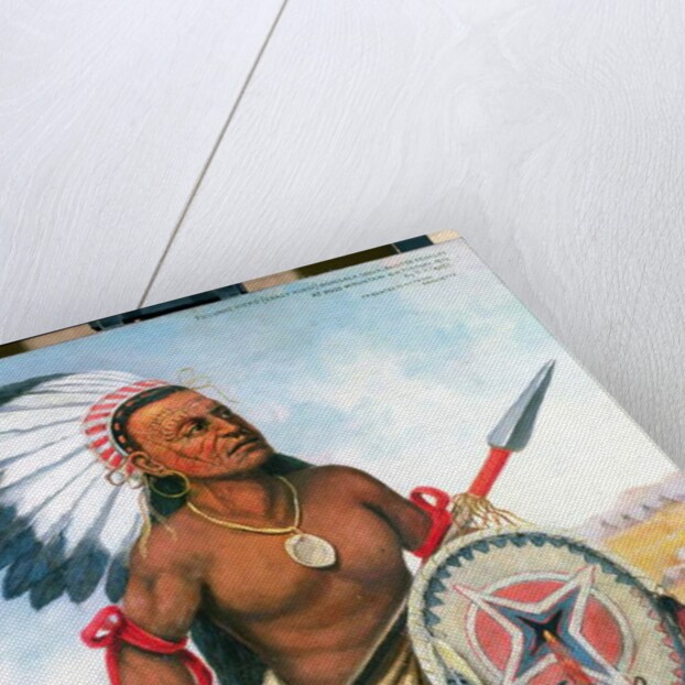 Portrait of Crazy Horse, 1876 by Henry H. Cross