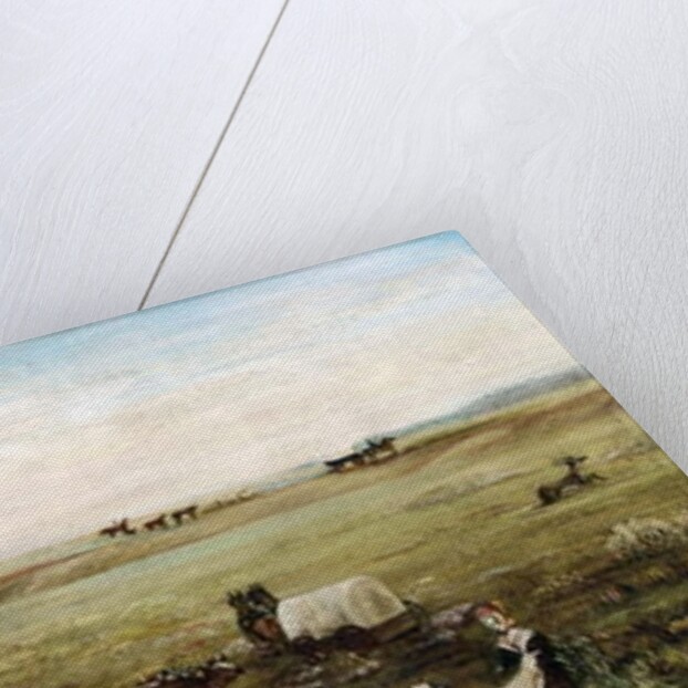 Pioneer Perseverance by Mary J. Wood