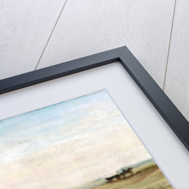 Pioneer Perseverance by Mary J. Wood