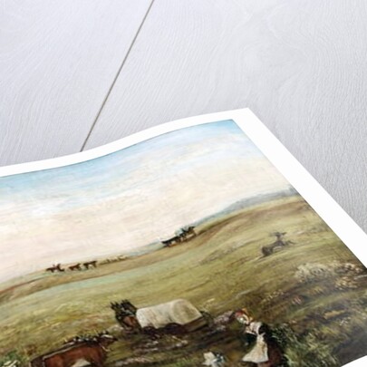 Pioneer Perseverance by Mary J. Wood