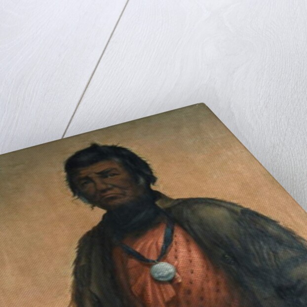 Portrait of Shabbona, Potawatomi Chief, 1859 by E. S. Webber