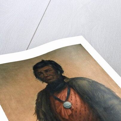 Portrait of Shabbona, Potawatomi Chief, 1859 by E. S. Webber