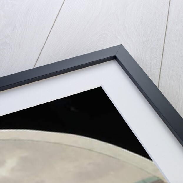 Great Flood in the Chicago River, 1849, 1900 by Lawrence Carmichael Earle