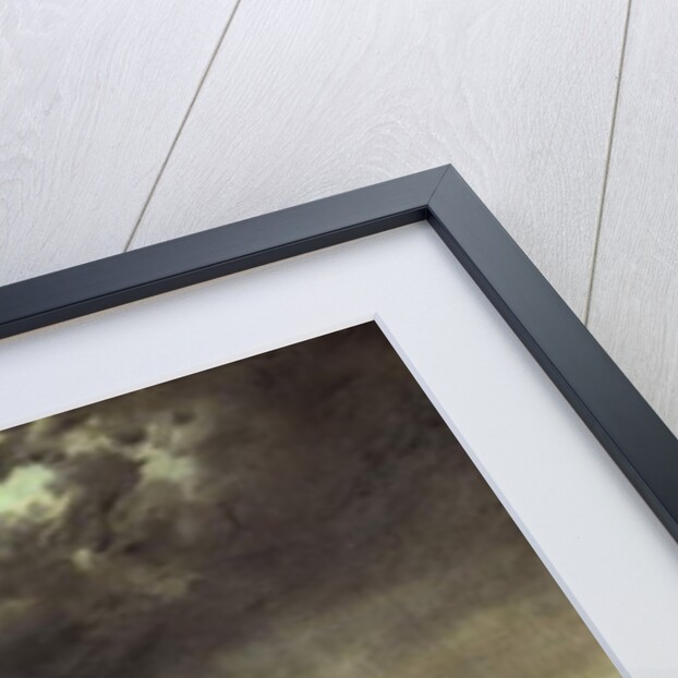 View of Fort Sumter, South Carolina, 1863 by Conrad Wise Chapman