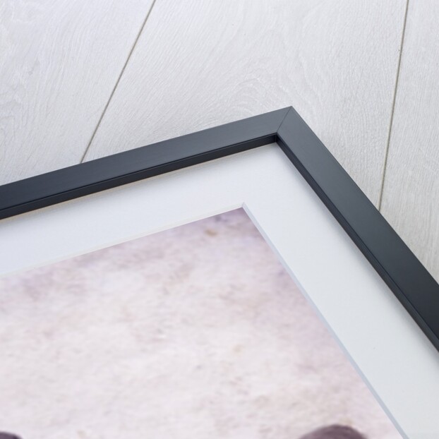 Apothecary Thyer by Thomas Barritt