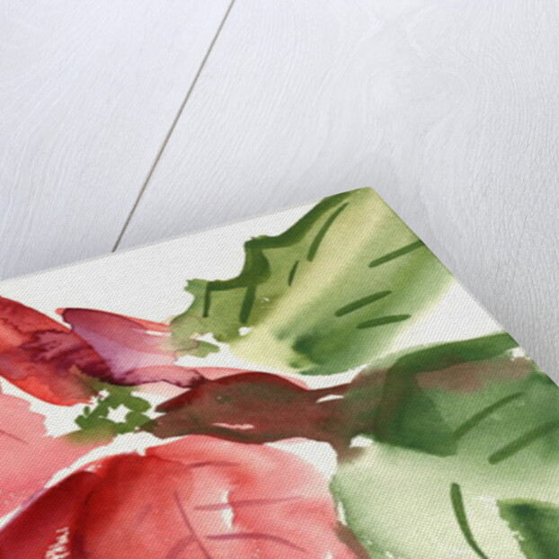 Poinsettia, 2003 by Claudia Hutchins-Puechavy