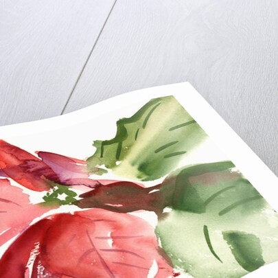 Poinsettia, 2003 by Claudia Hutchins-Puechavy