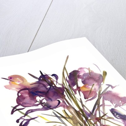 Crocus, 2003 by Claudia Hutchins-Puechavy