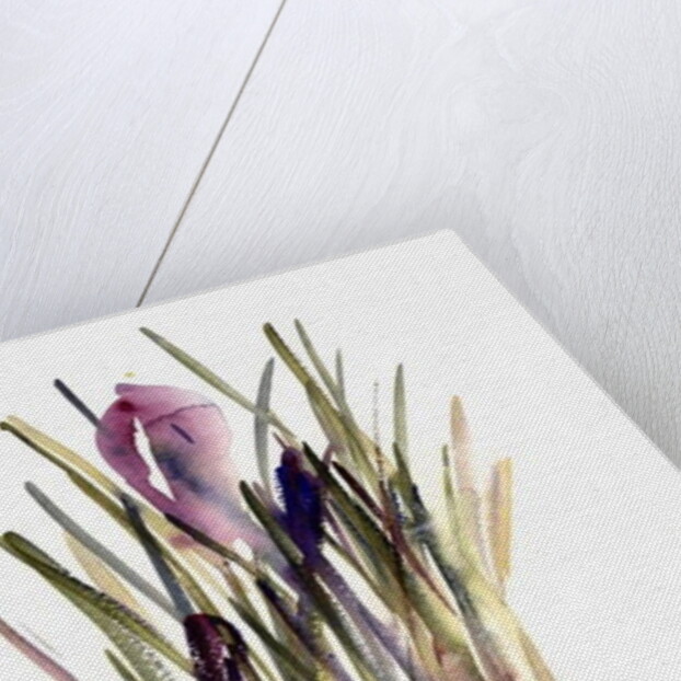 Crocus, 2003 by Claudia Hutchins-Puechavy