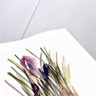 Crocus, 2003 by Claudia Hutchins-Puechavy