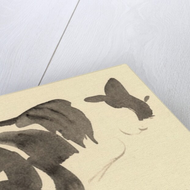 Sleeping cat, 1984 by Claudia Hutchins-Puechavy