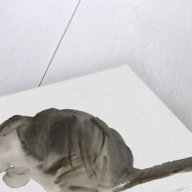 Cat, 1986 by Claudia Hutchins-Puechavy