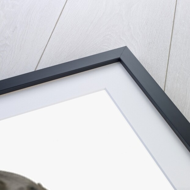 Cat, 1986 by Claudia Hutchins-Puechavy