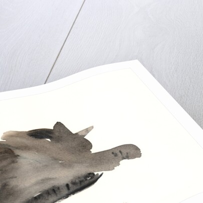 Sleeping cat, 1985 by Claudia Hutchins-Puechavy