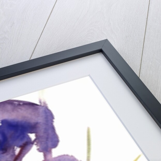 Iris, 1987 by Claudia Hutchins-Puechavy